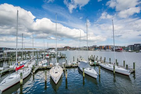 Boats docked in Spa Creek, in Annapolis, Maryland.のeditorial素材