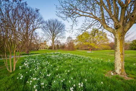 Flowers and trees at Cylburn Arboretum in Baltimore, Maryland.の写真素材