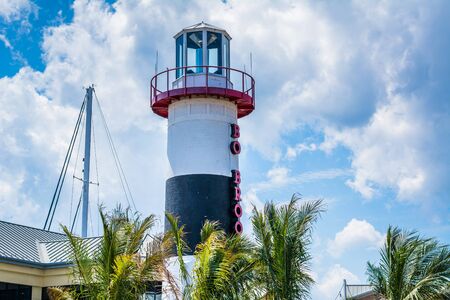 Lighthouse and palm trees in Canton, Baltimore, Maryland.の写真素材