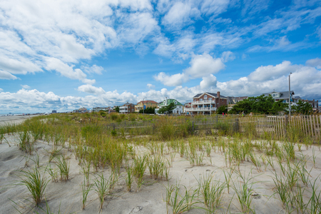 Sand dunes in Ventnor City, New Jersey.の写真素材