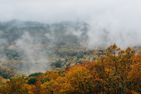 Foggy autumn view from the Blue Ridge Parkway, in Virginia.の写真素材