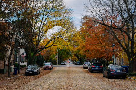 Cobblestone street and fall color in Old Town Alexandria, Virginiaのeditorial素材