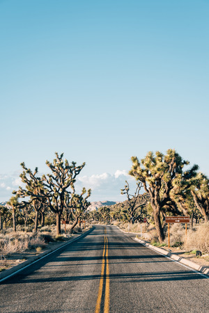 Road in the desert, in Joshua Tree National Park, Californiaの写真素材