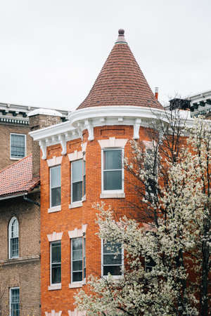 Row houses on Charles Street in Charles Village, Baltimore, Maryland.のeditorial素材