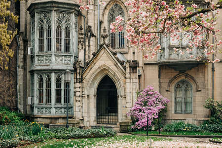 Grace Church with cherry blossom trees, in the East Village, Manhattan, New York Cityの写真素材