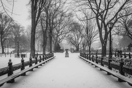 Snowy walkway in Central Park, Manhattan, New York Cityの写真素材