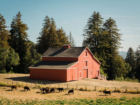 A red barn in Woodside, Californiaの写真素材