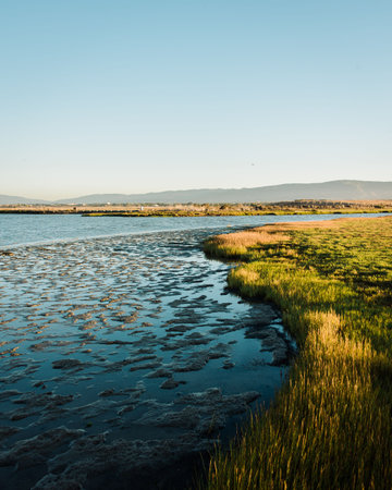 Wetlands at Baylands Nature Preserve, in Palo Alto, Californiaの写真素材