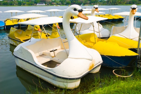 Yellow boat and Swan Padal boat in the pond of the park, Bangkok.の写真素材