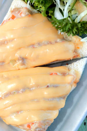 pork chop sandwich with Mayonnaiseの写真素材