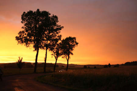 Summer sunsetの写真素材