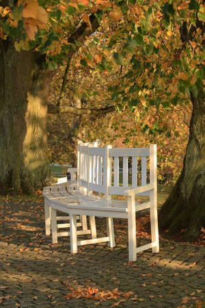 White benches in a park. Autumnal day.