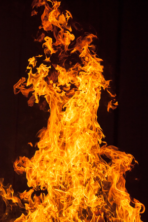 Fire flames on black background.の写真素材