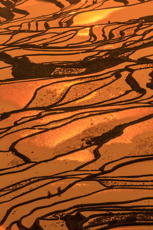 Beautiful landscape about terraced rice field in Laocai province, Chinaの写真素材