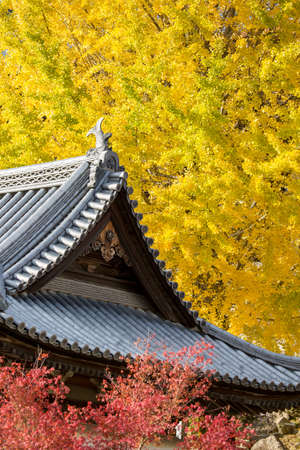 Miyajima, The famous Floating Torii gate, Japan.の写真素材