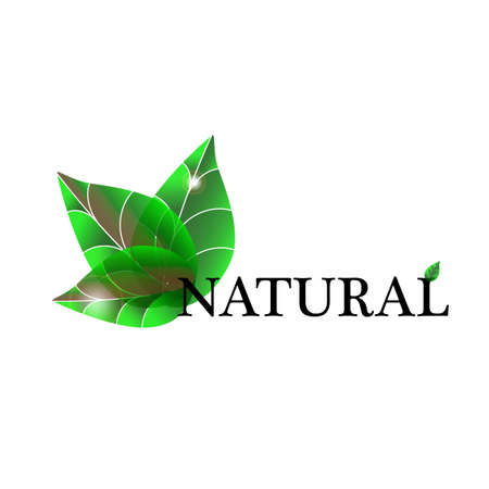 eco designのイラスト素材