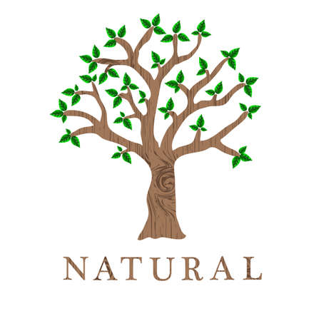 eco designのイラスト素材