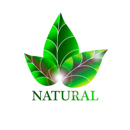 eco designのイラスト素材