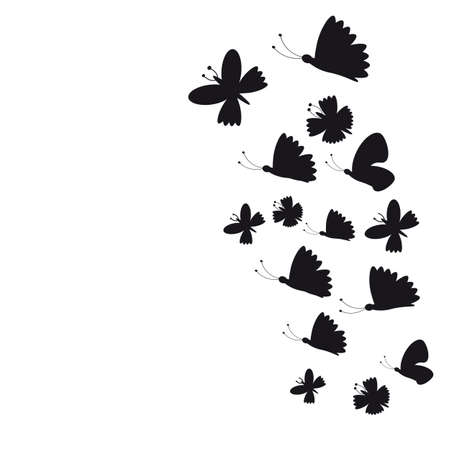 butterflyの写真素材