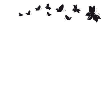 butterflyの写真素材