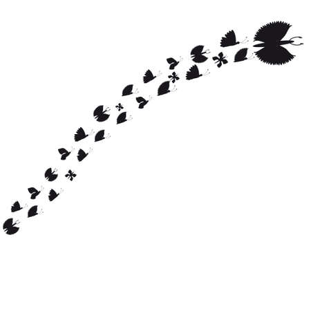 butterflyのイラスト素材