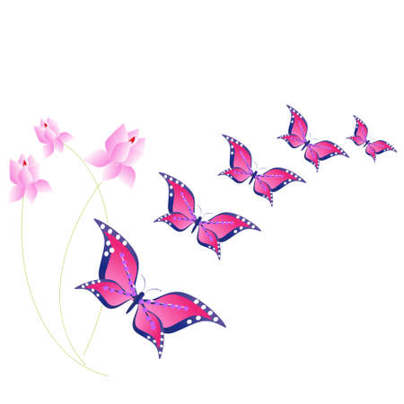 butterflyのイラスト素材