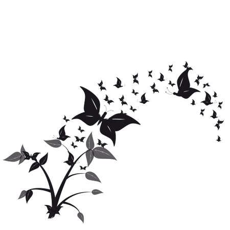 butterflyのイラスト素材