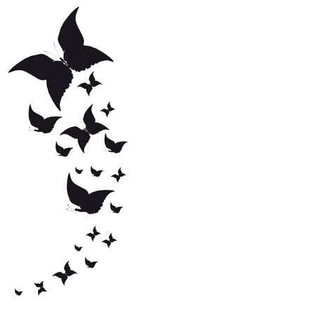 beautiful  butterflies, isolated on a whiteのイラスト素材