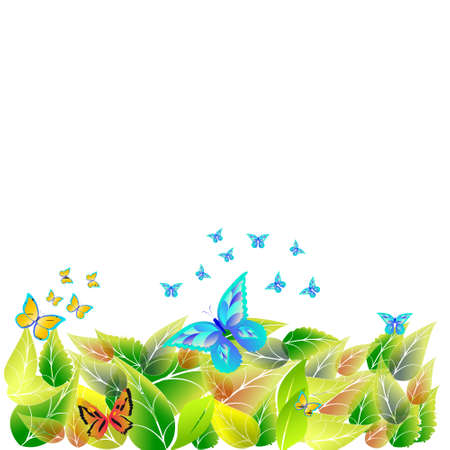 butterflyのイラスト素材