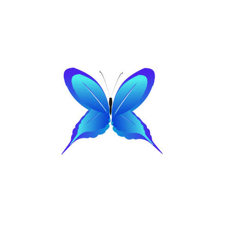 beautiful blue butterflies, isolated on a whiteのイラスト素材
