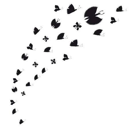 butterflyの写真素材