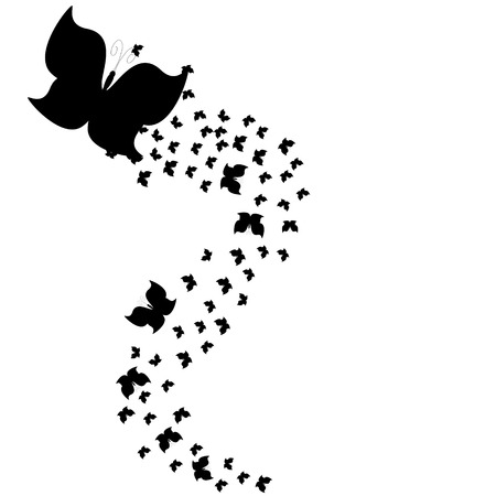 beautiful  butterflies, isolated on a whiteのイラスト素材