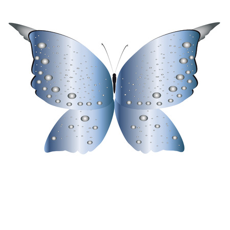 beautiful butterflies, isolated on a whiteのイラスト素材