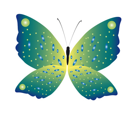 beautiful blue butterflies, isolated on a whiteのイラスト素材