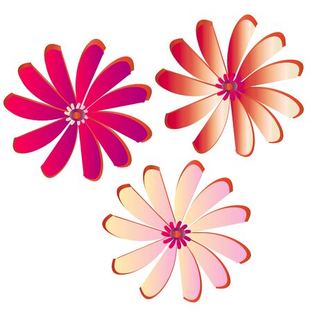 beautiful flowers, on a whiteのイラスト素材
