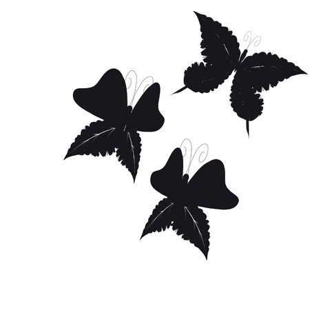 beautiful  butterflies, isolated on a whiteのイラスト素材