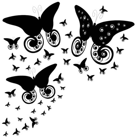 beautiful  butterflies, isolated on a whiteのイラスト素材