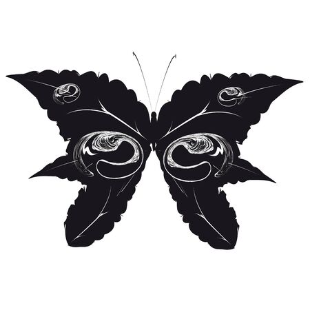 beautiful  butterflies, isolated on a whiteのイラスト素材