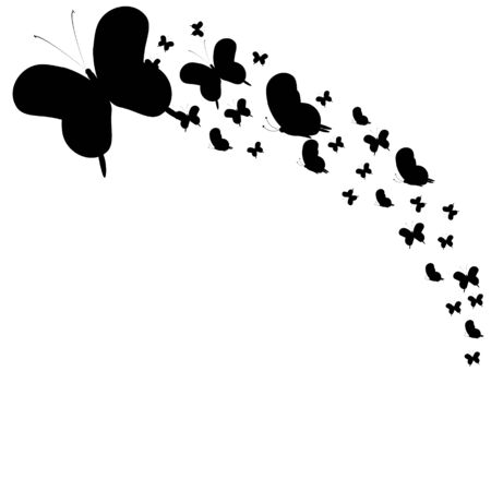 beautiful  butterflies, isolated on a whiteのイラスト素材