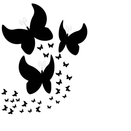 beautiful  butterflies, isolated on a whiteのイラスト素材