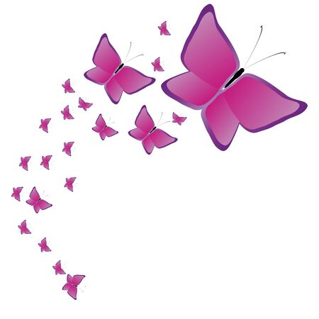 beautiful butterflies, on a whiteのイラスト素材