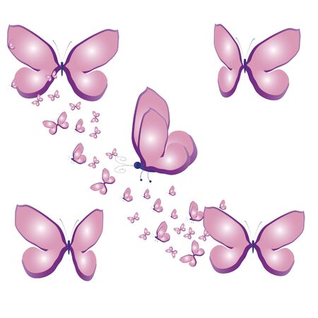 beautiful butterflies, on a whiteのイラスト素材