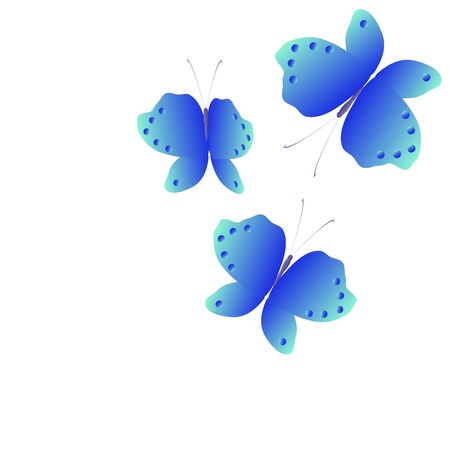 beautiful butterflies, on a whiteのイラスト素材