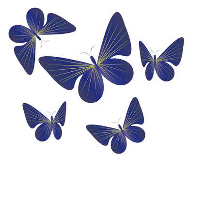 beautiful butterflies, on a whiteのイラスト素材