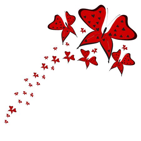 beautiful butterflies, on a whiteのイラスト素材