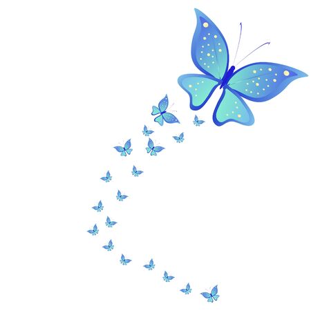 beautiful butterflies, on a whiteのイラスト素材