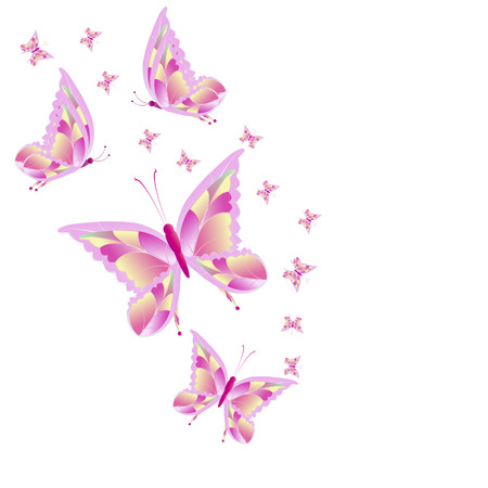 beautiful butterflies, on a whiteのイラスト素材