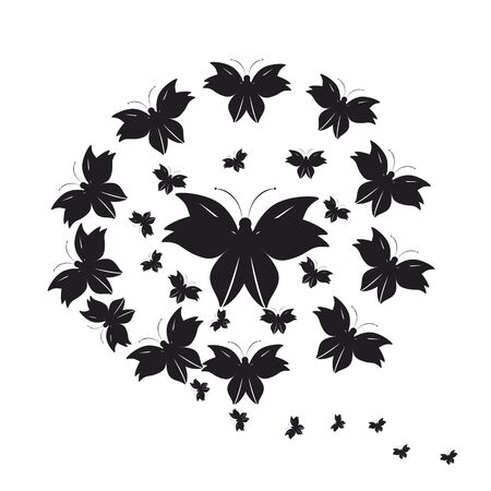 beautiful butterflies, on a whiteのイラスト素材