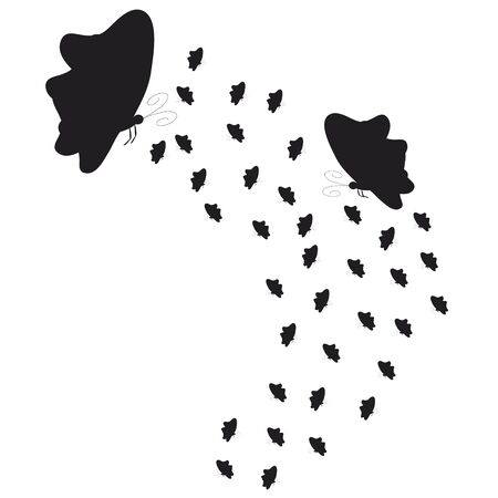 beautiful butterflies, on a whiteのイラスト素材