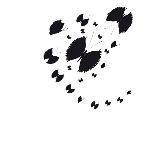 beautiful butterflies, on a whiteのイラスト素材